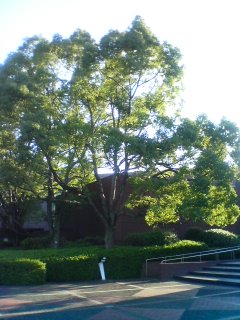 070813_1708~01.jpg