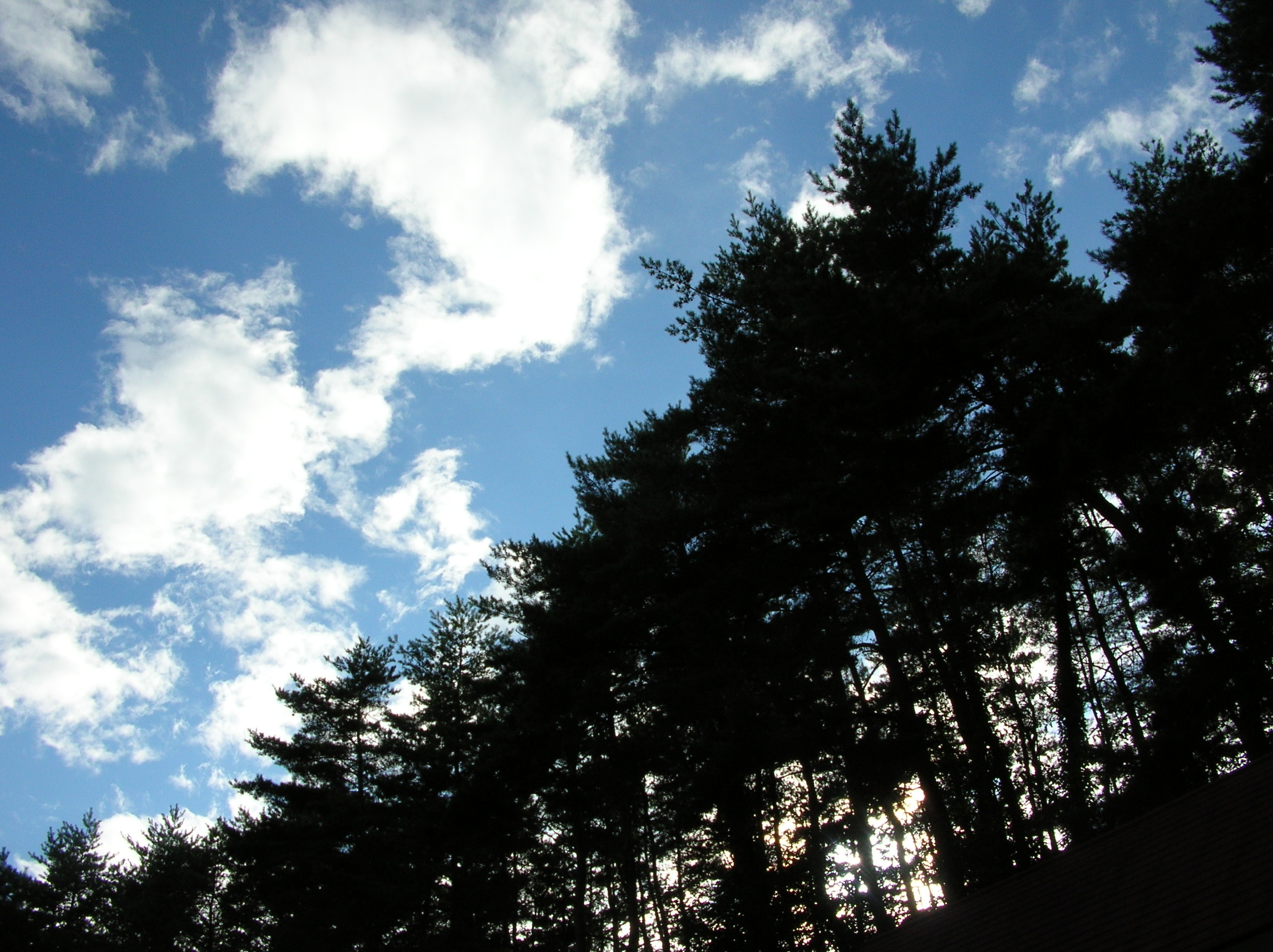 夏の空、雲に風.JPG